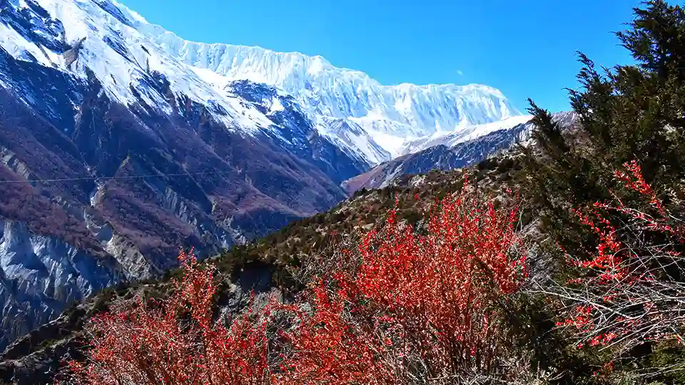 Best Time to Annapurna Circuit-