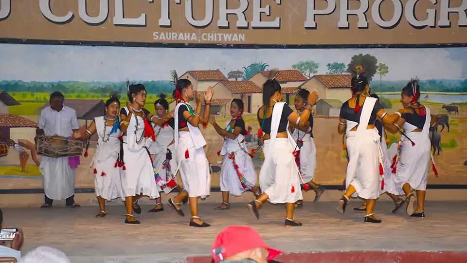 Things To Do In Chitwan National Park 7 Tharu Cultural Program in Chitwan Safari