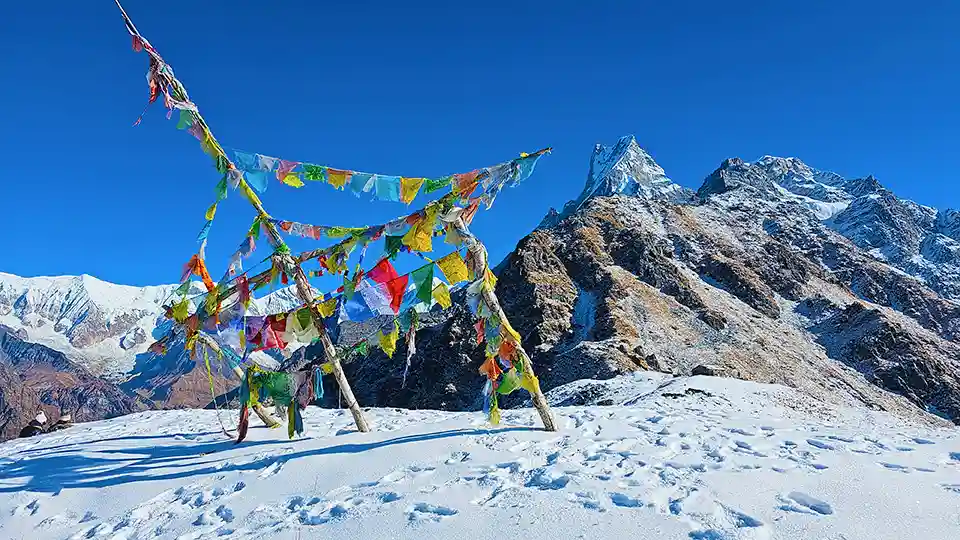 Mardi Himal Base Camp Trek-Last View Point 4500M