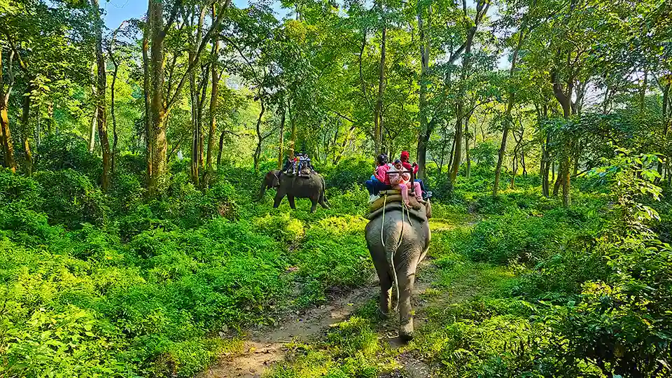 Chitwan National Park-Romantic Places in Nepal