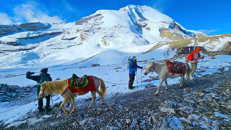 11 Adventurous Things to do in Nepal 6 Trekking-Adventurous Things to do in Nepal