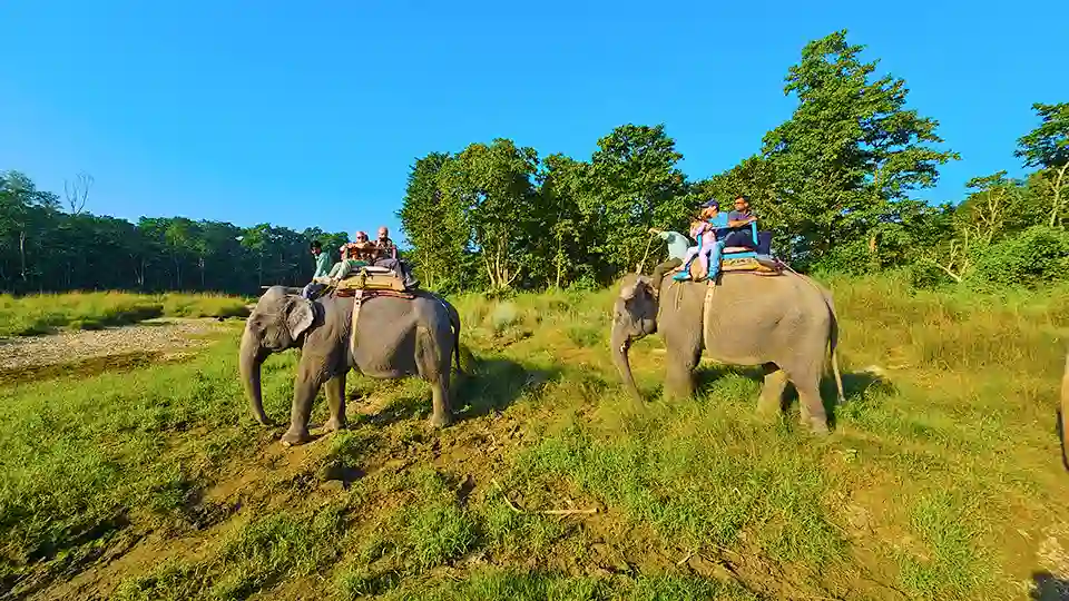 5 Days Tour Packages in Nepal with Elephant Safari