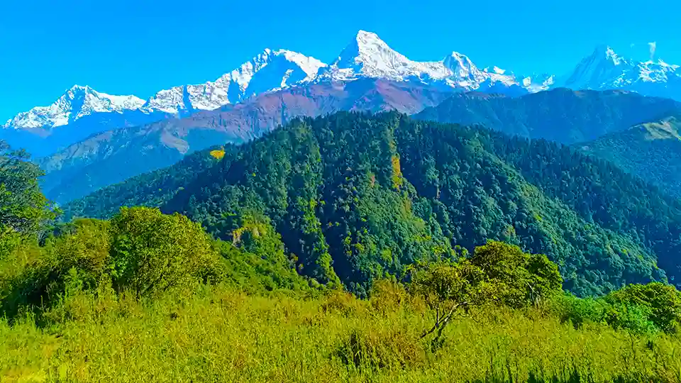 Short Royal Treks Around Pokhara