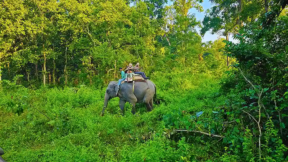 Chitwan Luxury Safari Tours in Nepal