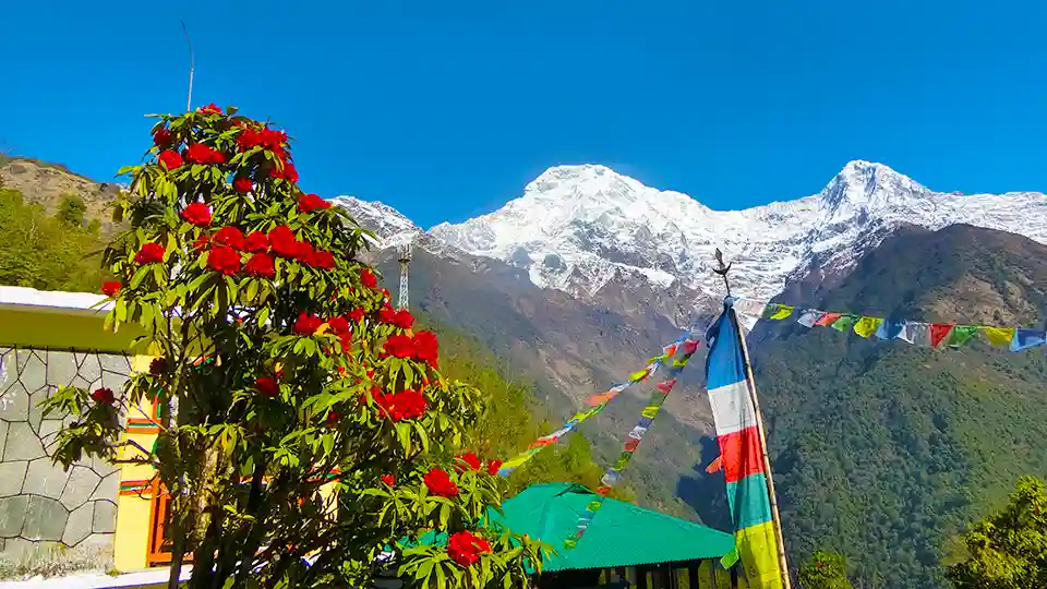 Annapurna South Captured from a village