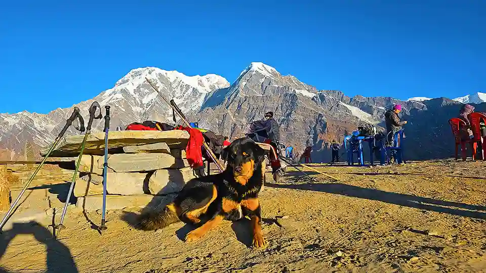 Mardi Himal Trek 4 Days 5 1st View Point in Mardi Himal Trek 4 Days