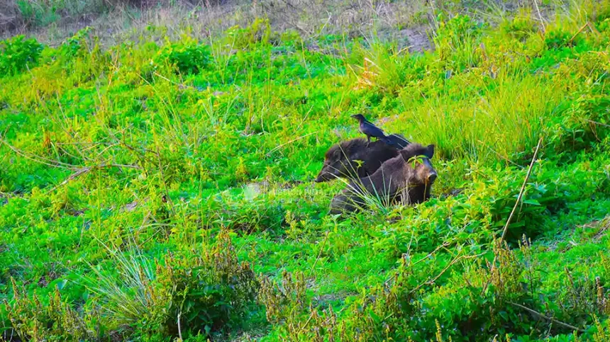 51 Facts of Nepal Someone Don't Know 1 Facts of Nepal