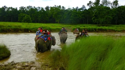 Things To Do In Chitwan National Park