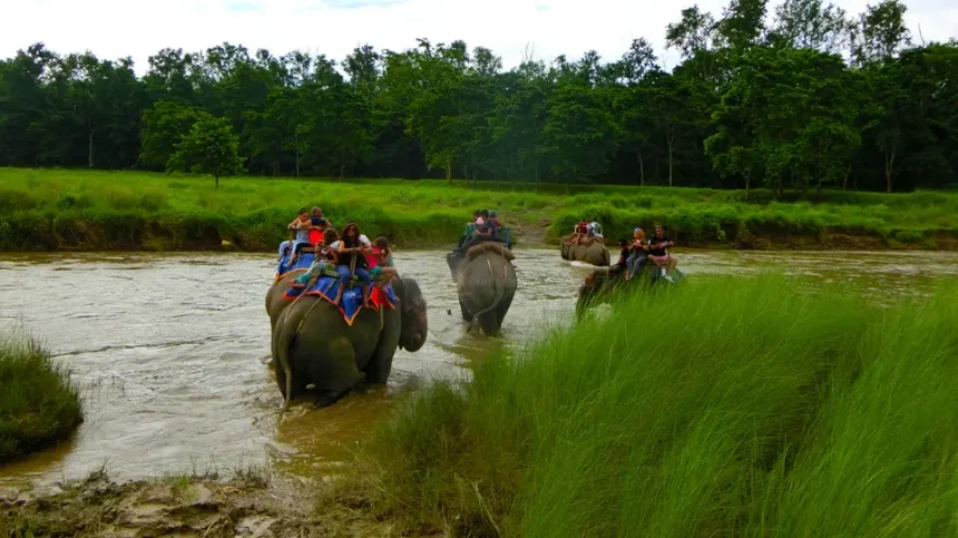 Things To Do In Chitwan National Park 1 Things To Do In Chitwan National Park
