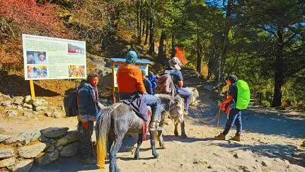Everest Base Camp Trek cost