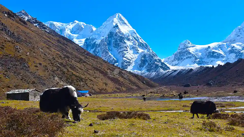 kanchenjunga Conservation Area