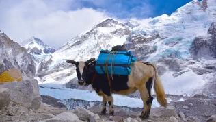 Budget Everest Base Camp Trek