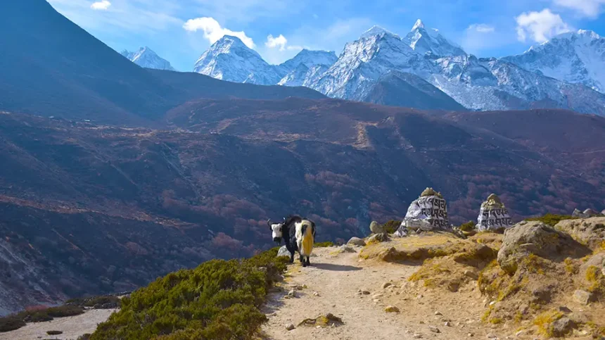 The Everest Base Camp Trail: A Journey to the Roof of the World 1 Everest Base Camp Trail
