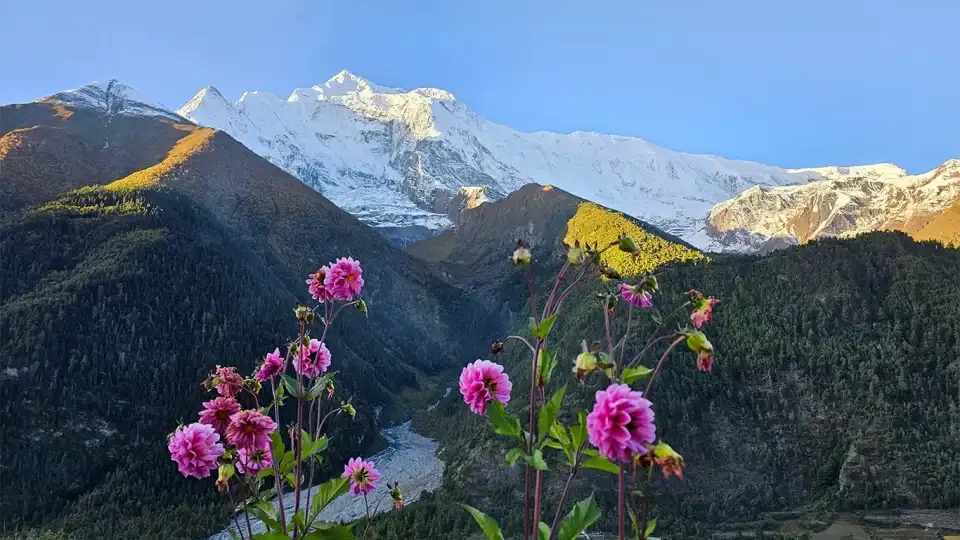 Privacy Policy of Mission Himalaya Treks