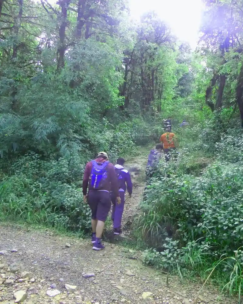 Activities of Mission Himalaya