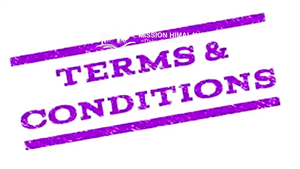 Terms And Conditions 1 Terms And Conditions